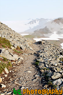 Rock Hiking Trail painting