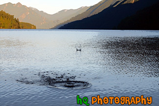 Rock Skipping in Lake painting