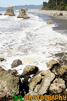 Beach and Rocks at Ruby Beach painting