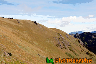 Hill in the Olympic Mountains painting