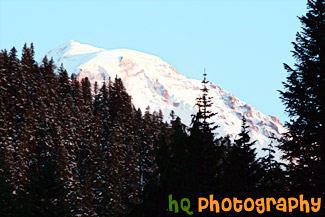 Red Mt. Rainier painting