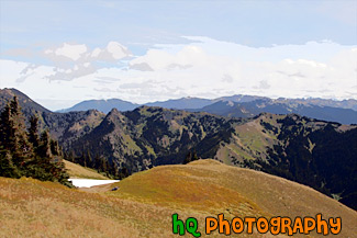 Olympic Mountain Hills & Scenic Sky painting