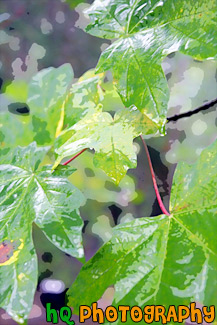 Green Leaves Up Close painting