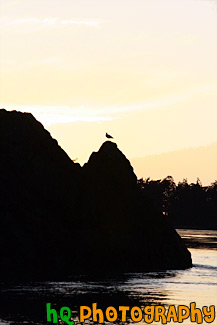 Bird & Rock Silhouette Sunset painting