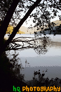 Trees & Silhouettes on Shore at Cresent Lake painting