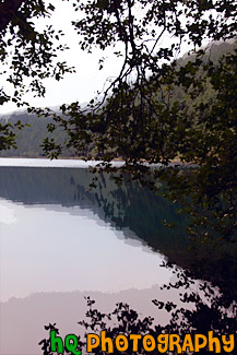 Hill Reflection & Tree Branches painting