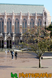 Suzzallo Library, Tree & Students painting