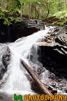 Waterfall & Log painting