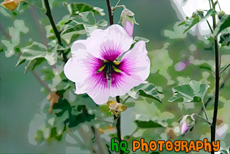 Purple Flower with Dark Purple Center painting