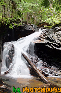 Waterfall, Green Trees, and Log painting