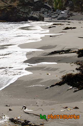 Beach Sand, Seaweed, & Water painting