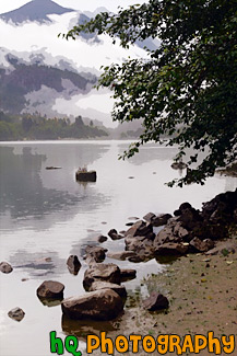 Rocks & Tree Along Diablo Lake painting