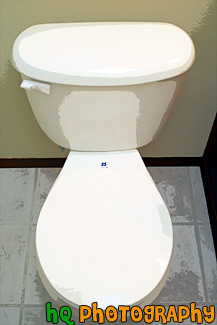 White Toilet With Seat Down painting
