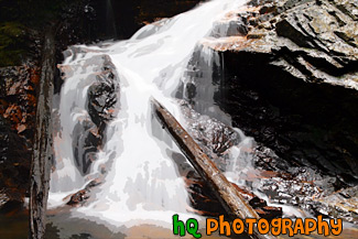 Waterfall and Logs Up Close painting