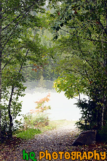 Trail Leading to Fog painting