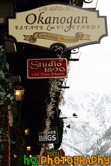 Shop Signs of Leavenworth painting