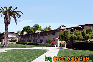 Graham Residence Hall & Palm Tree painting