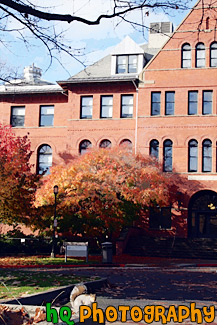 Brick Building and Squirrel at UW painting