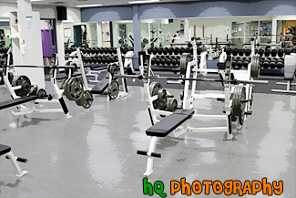 Free Weights Room painting