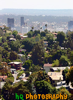 Hollywood View from a Hill painting