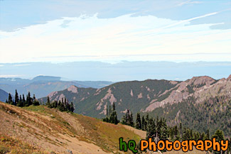 Olympic National Park View painting