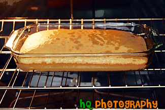 Cake Baking in Oven painting