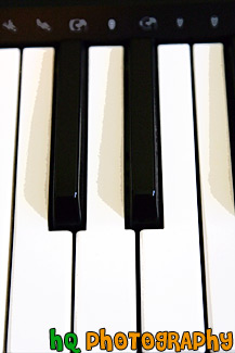 Piano Keys Close Up painting