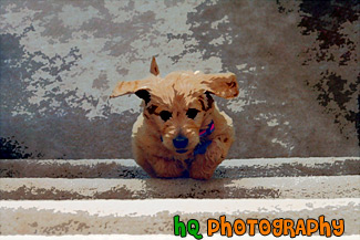 Puppy Running up Stairs painting