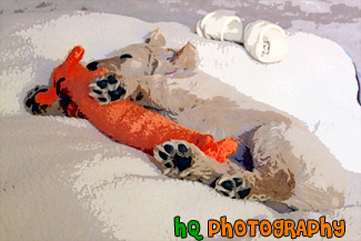 Goldendoodle Puppy Sleeping with Toy painting