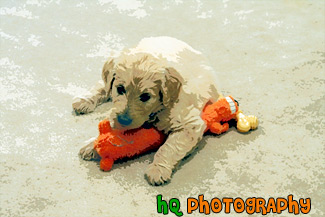 Cute Goldendoodle Puppy painting