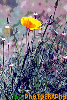 Orange Poppy Flower in Brush painting