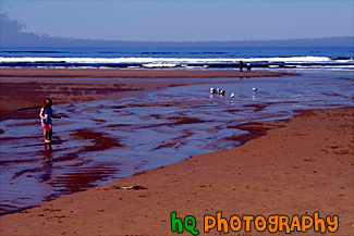 Beach, Seagulls & Child Playing painting