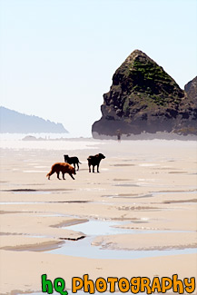 Dogs on Sand and Beach painting