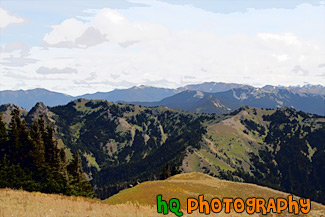 Olympic Mountain Ranges painting