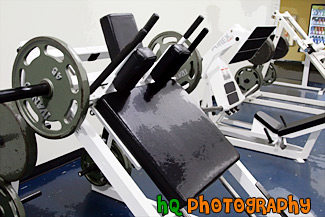 Squat Machine painting