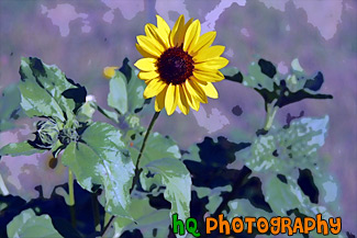 Yellow Sunflower painting