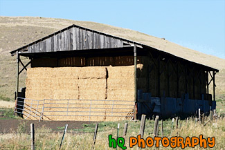 Hay Shed painting