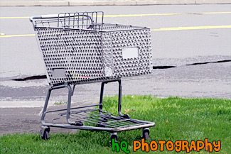 Gray Shopping Cart painting