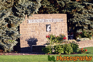 Washington State University Entrance painting