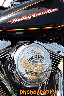 Harley Davidson Live to Ride painting