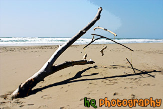 Tree Branches & Strings on Beach painting