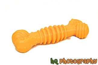 Dog Bone Toy painting