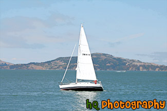 White Sailboat in San Francisco Bay painting