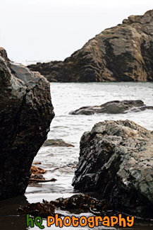 Rocks & Seaweed on Shore painting