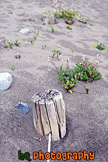 Wire Fence Buried in Sand painting