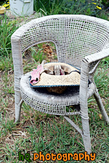 Hat & Gloves on Chair painting