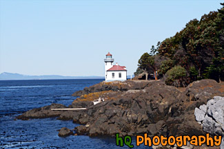 Lime Kiln Lighthouse on Sunny Day painting