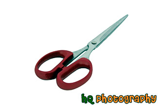 Red Scissors painting