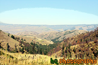 Idaho Hills painting