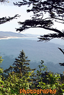 Oregon Coast & Pacific Ocean painting